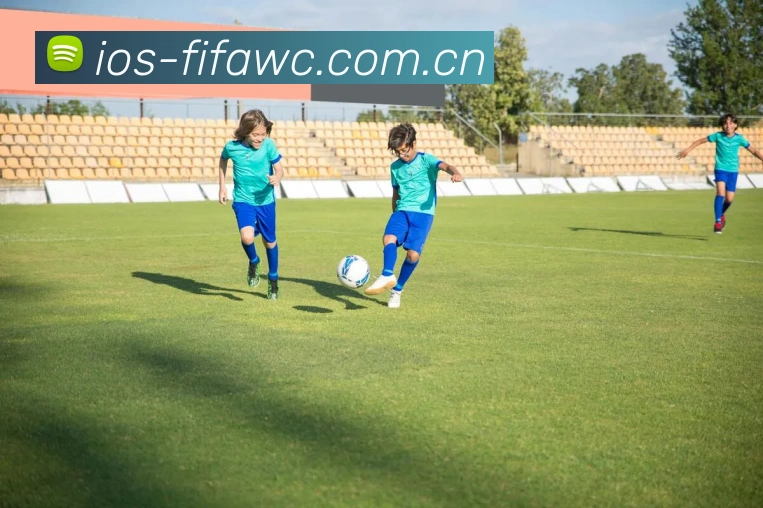 FIFA官方认证